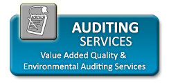 QLS - Auditing Services